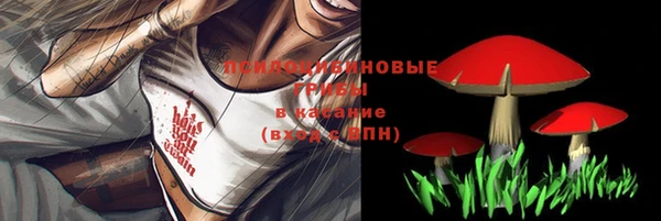 ALPHA PVP Богданович