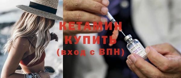 трава Тавда