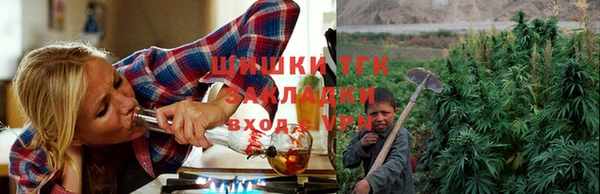тгк Сясьстрой